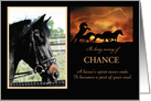 Horse Sympathy Memorial with Custom Photo and Name card