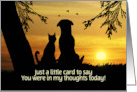 Thinking of You Cute Dog and Cat in Sunset Custom Text Front card