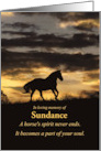Horse Sympathy Custom Name Horse Running in a Sunset card