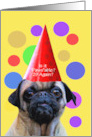 Birthday Cute Pug 29 Again Funny Custom Front card