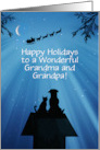 Grandma and Grandpa Cute Happy Holidays with Dog Cat and Satna Custom card