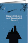 Sister Happy Holidays Cute Animals Custom Text card