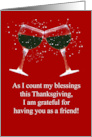 Thanksgiving Wine Grateful for Friend Humorous card