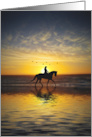 Beach Horse and Rider Equestrian Blank Note card