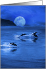 Ocean Coastal Dolphins in the Moonlight Sea Blank Any Occasion card