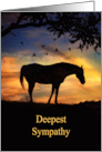 Sympathy Loss of Horse Bereavement with Horse Silhouetted in Sunset card