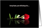Hospice Love Single Rose Sentimental Sweet Bond for Patient card