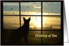 Condolences Thinking of You Dog in Window with Sunset Sympathy card