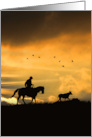 Cowboy Horse and Steer Country Western Sunset Blank Any Occasion card