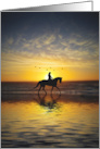 Birthday Horse and Rider on the Beach with Sunset and Birds card