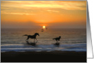 Happy Birthday Horse Dog Dolphins Kindred Spirits on the Beach card