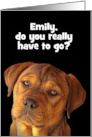 Business Company Employee Retirement We Will Miss You Cute Dog Custom card