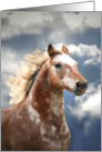 Wild Free Appaloosa Horse Galloping with Clouds Headshot Blank card