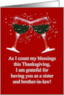 Thanksgiving Day for Sister and Husband Brother in Law Funny Wine card