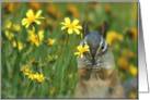 chipmunk Thank You with Yellow Flowers in Green Foliage card