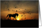 Horse Thank You, Pretty Trotting Horse and Sunset Thanks card