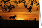 Horse and Sunset Birthday, Trotting Horse, Country Gate and Oak Tree card