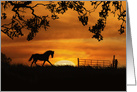 Western Trotting Horse Sunset Thank You, Horse Thanks card