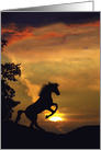 Horse and Sunset Birthday card