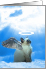 Kitty angel thank you card