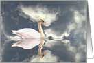 Swan Sympathy, Beautiful Sympathy Condolence card