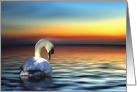 Beautiful Swan Encouragement, Sunrise New Day, New Opportunities card
