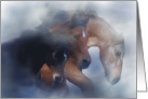 Pretty Horses in the Mist Say Hello to Friend card