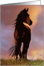 Horse Silhouette Thinking of You card
