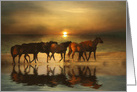 Horse Thank You, Horses on the Beach, Horse Photography Thank You card