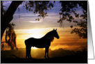 happy birthday, horse in sunrise card