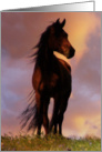 Happy Birthday Horse Silhouette against the Clouds card