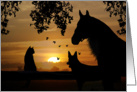 Pet Sympathy With Horse Dog And Cat card