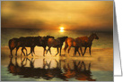 Horse Hello on the Beach at Sunset card