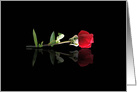 Missing You SIngle Red Rose Pretty Flower Missing You card
