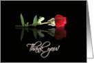 Thank You Beautiful Red Rose Formal card