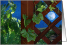 grapevine on lattice with full moon, blank note card