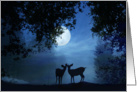 We’ve Eloped, deer couple in moonlight card