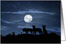 Full Moon Halloween, coyote, wolf card