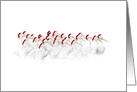 Cute and Fun Happy Holidays White Pelicans in Santa Hats card