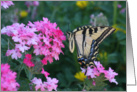 Beautiful Butterfly and Flower Thank You card