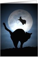 Halloween Witch and Black Cat with Full Moon card