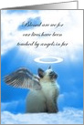 Kitty Cat Angel Sympathy, Loss of Cat, Siamese Cat Sympathy, card