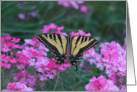 Butterfly with pink flowers blank note card