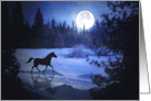 Horse Dashing Through the Snow and Full Moon card