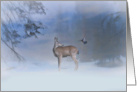 Merry Christmas Deer and Blue Jay card