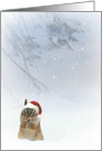 Season’s Greetings Cute Chipmunk in Snow card