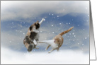 Cat’s Christmas Snow Ball Fight card