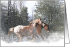 Horses in Snow Merry Christmas card