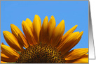 Fun Sunflower Happy Birthday card