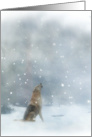 Wolf in the Snow Christmas Holiday Pretty Snow Scene card